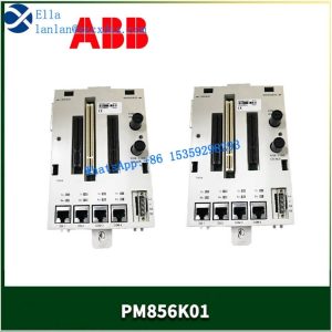 PM856AK01