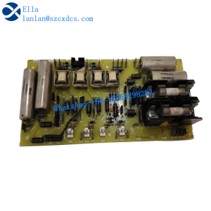 DS200FSAAG1ABA 2